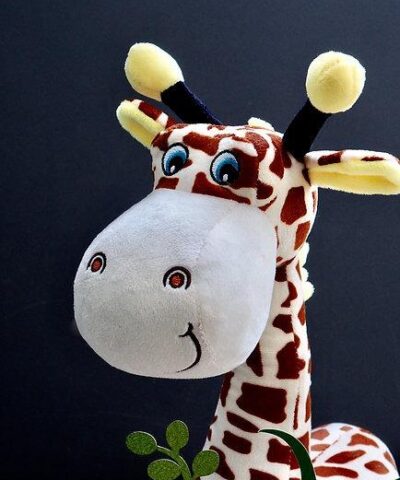 My First Giraffe - מארז ליולדת שוגליז
